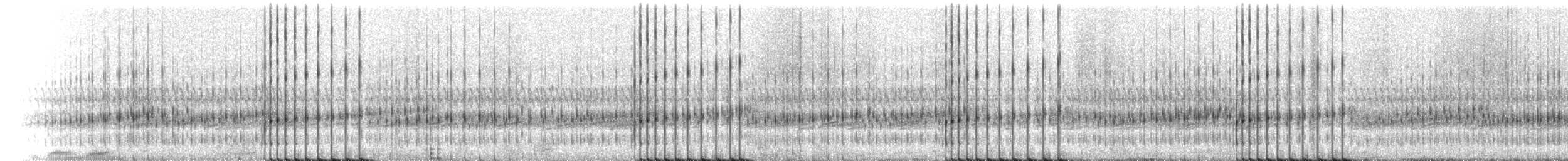 Striped Chorus Frog - ML218788