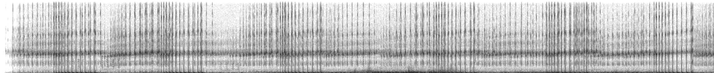 Striped Chorus Frog - ML218793