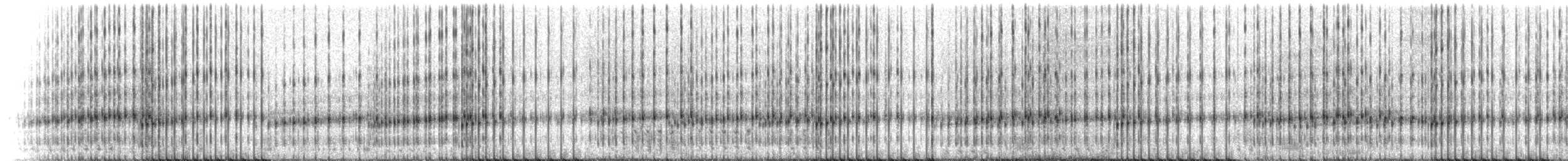 Striped Chorus Frog - ML218794