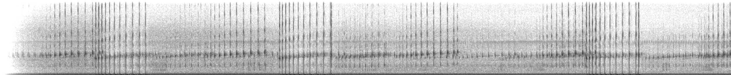 Striped Chorus Frog - ML218796