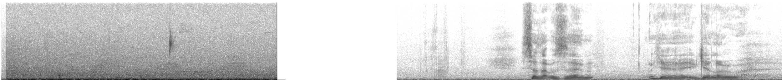 Paruline à croupion jaune (auduboni) - ML218810181