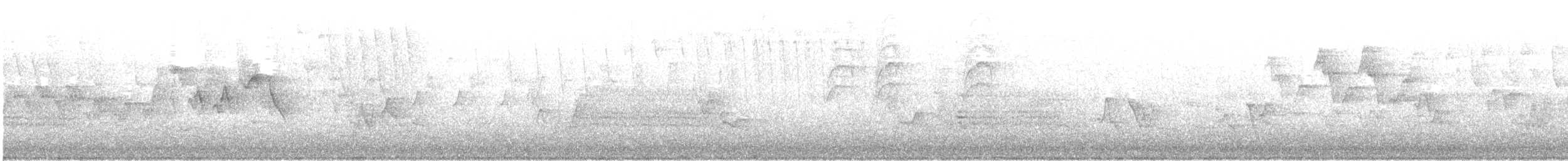Magnolia Warbler - ML218841411
