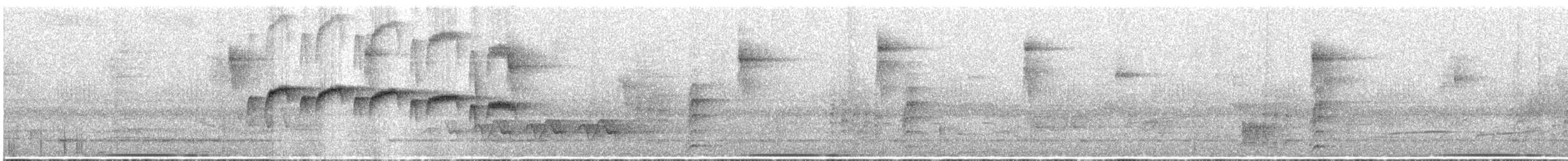Squamate Antbird - ML218866481
