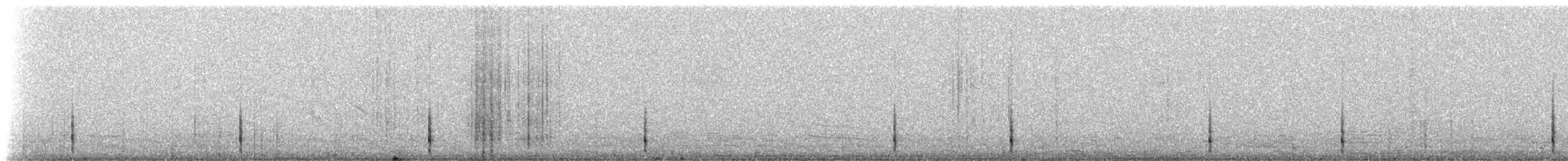 Белогорлая качолота - ML218913