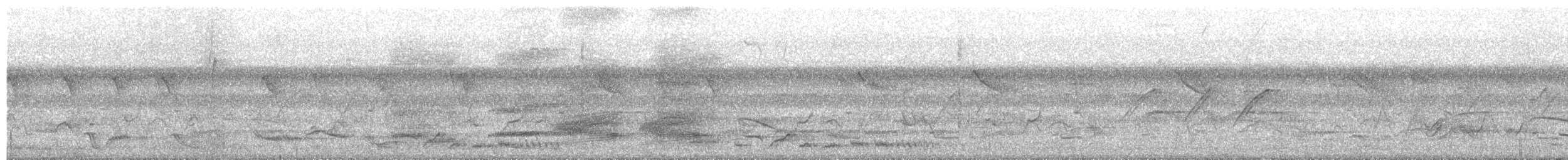 Hainan Saksağanı (xanthomelana) - ML218933851