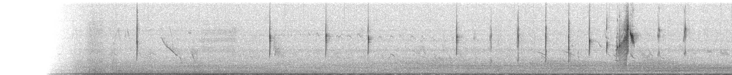 Kısa Kuyruklu Tiran - ML218940381