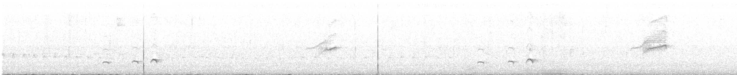 Grallaire d'Urrao - ML218974111