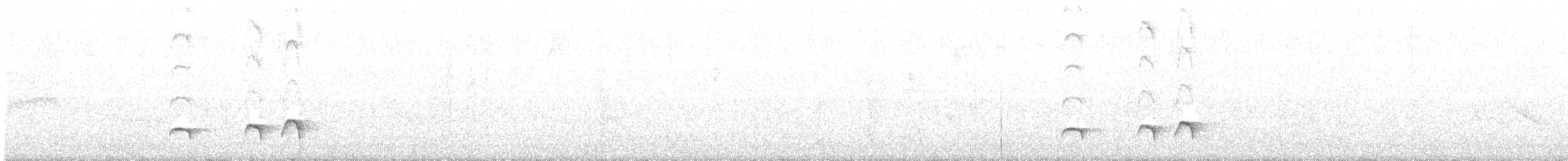 Grallaire d'Urrao - ML218974131