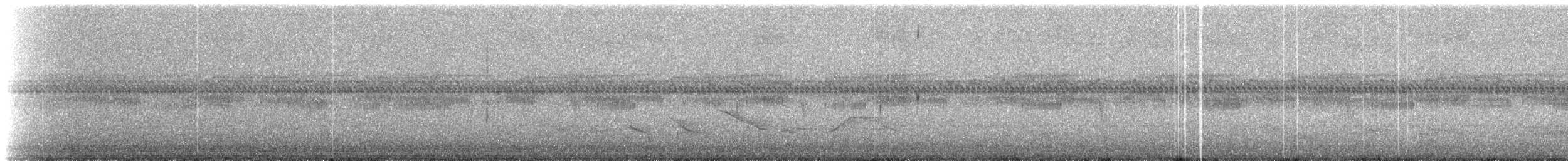 Great Dusky Swift - ML218989