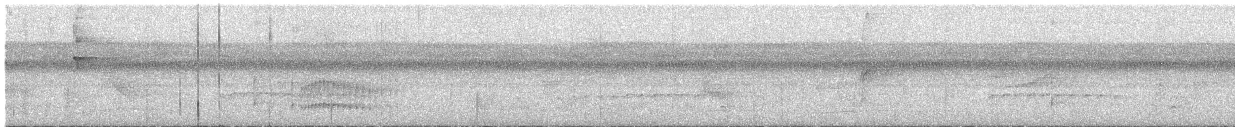 Todirostre zostérops - ML218990951