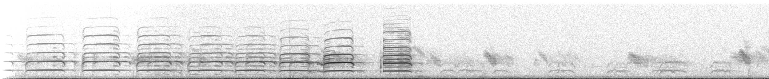 sokol stěhovavý (ssp. cassini) - ML219008