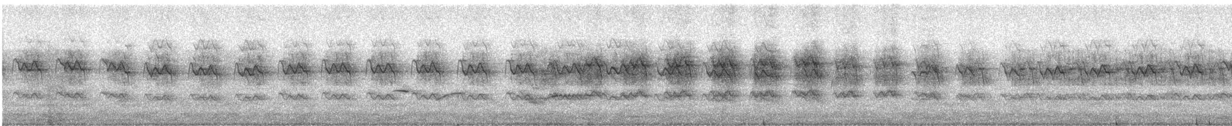 spurvefalk (cinnamominus gr.) - ML219013951