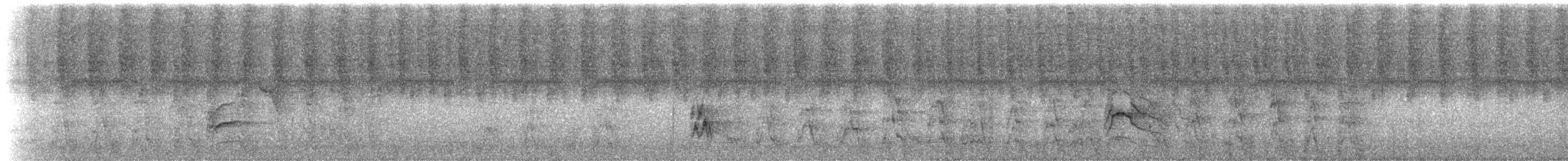 Riesenani - ML219055