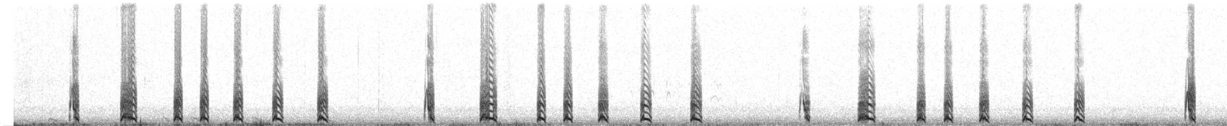 Weißgesicht-Sturmschwalbe - ML219057791