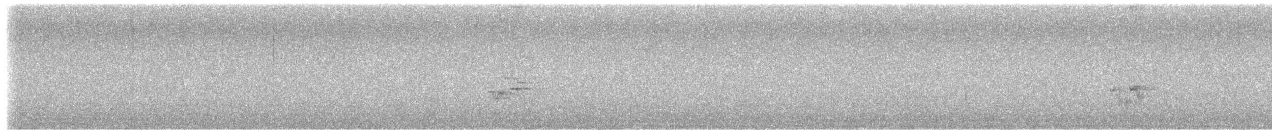 Дрізд-короткодзьоб андійський - ML219062161