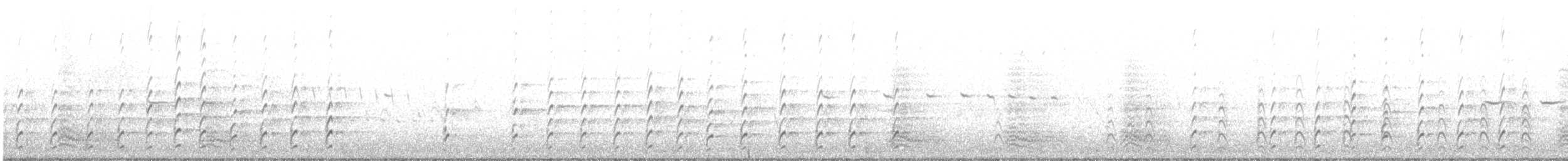 Schwarznacken-Stelzenläufer - ML219113291