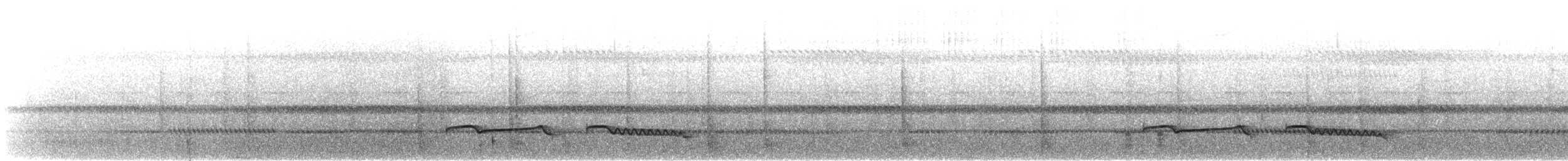 Дрімлюга гірський (підвид poliocephalus) - ML219163751