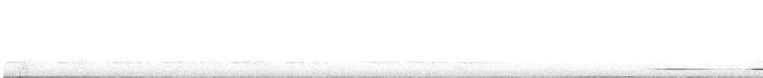Тинаму-отшельник - ML219200131