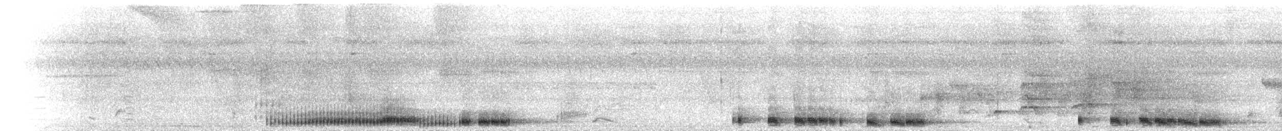 Nínox de las Togian - ML219212501