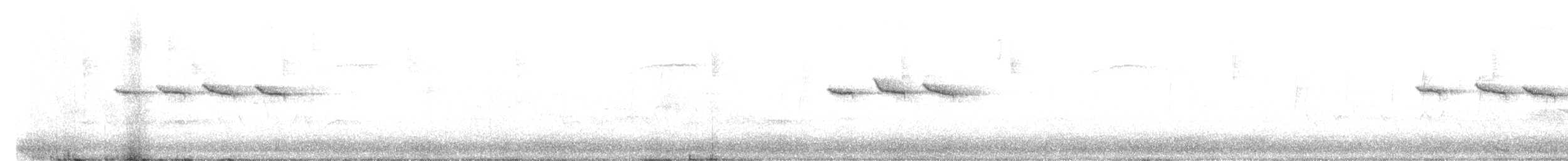 Sperlingsvogel, unbestimmt - ML219215411