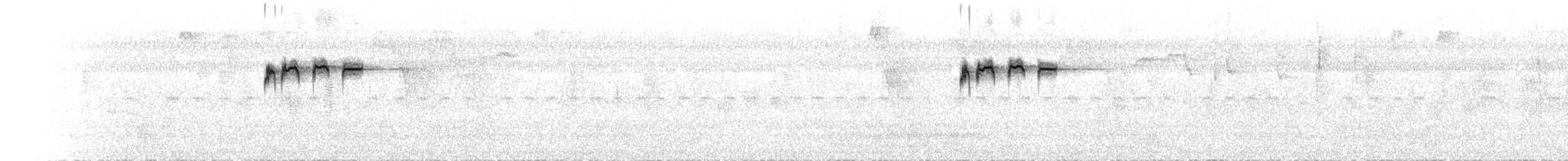 Кориліс діадемовий - ML219216251