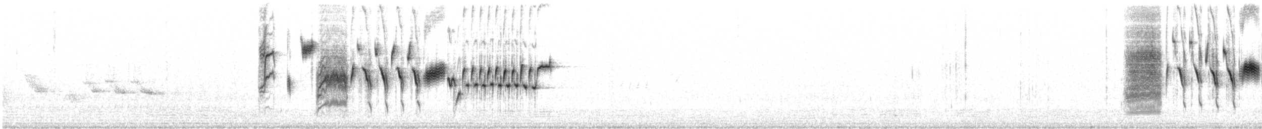 Troglodyte de Bewick - ML219233471