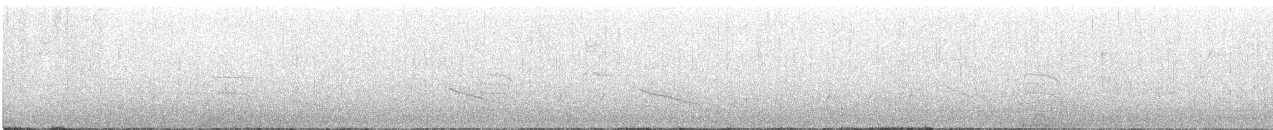 Yellow-throated Warbler - ML219322171