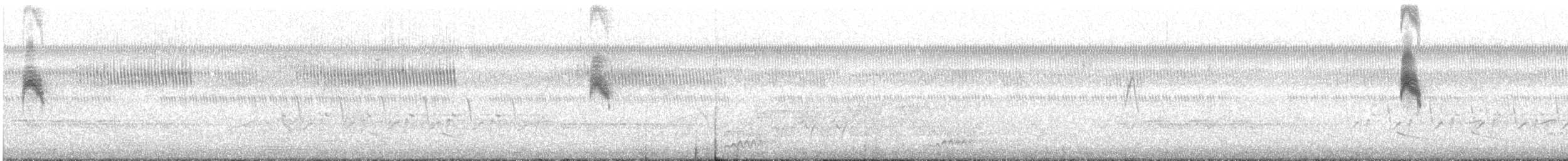 Tyran tritri - ML219378101