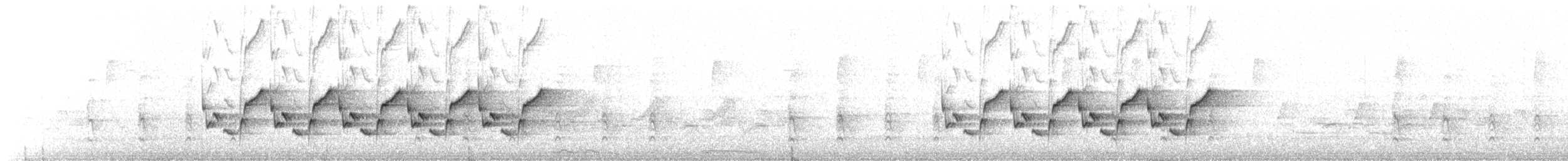 チャバラマユミソサザイ - ML219405361