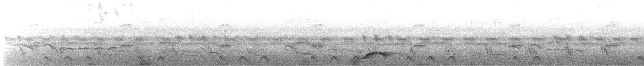Freckled Nightjar - ML219432961
