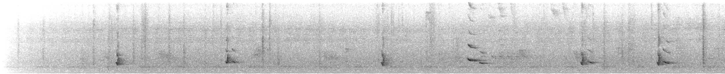 Red-winged Starling - ML219496571