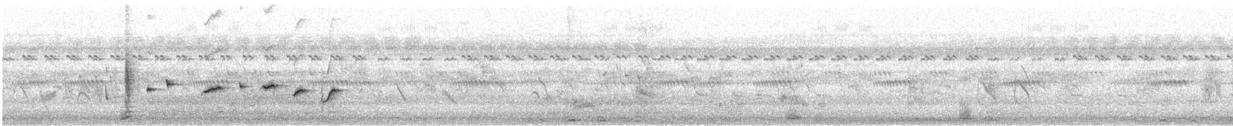Белогорлая веерохвостка - ML219522831
