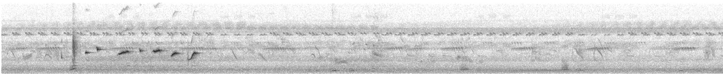 Белогорлая веерохвостка - ML219523521