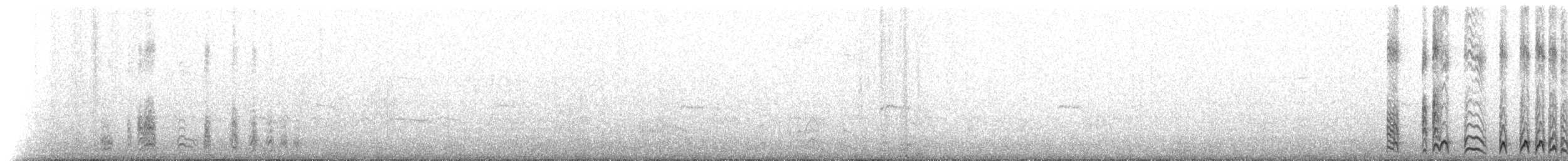 Océanite cul-blanc (leucorhous) - ML219544