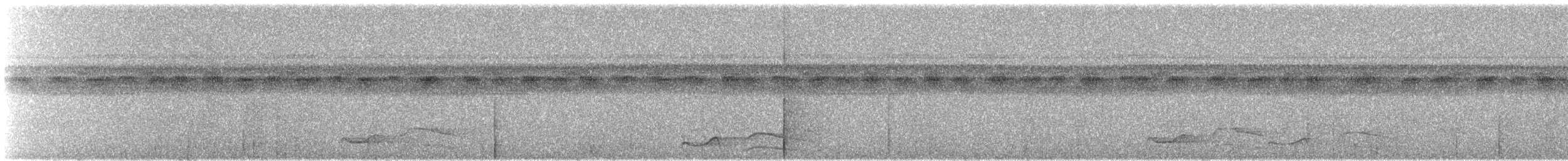 riflingspett (undatus gr.) - ML219579371