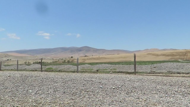 Асрын хараацай - ML219583291