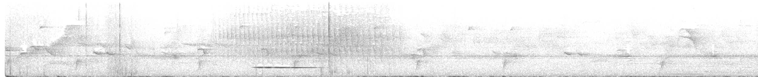 Thicket Tinamou - ML219584351