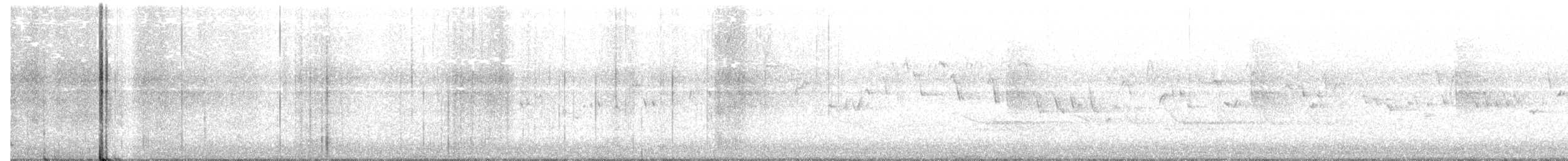 Winter Wren - ML219653051
