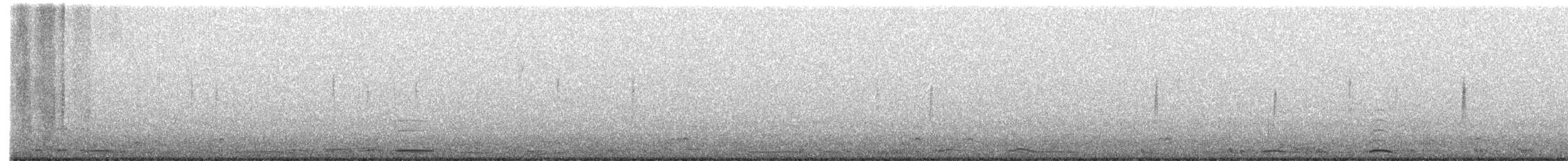 Cygne siffleur - ML219685641