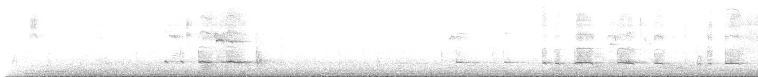 小水鴨(carolinensis) - ML219693311