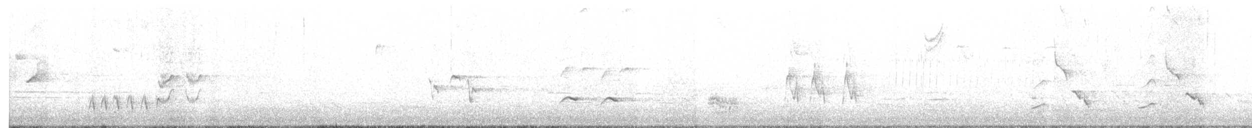 Тремблер прямодзьобий - ML219724041