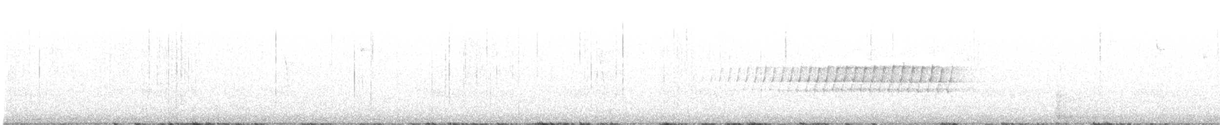 Pine Warbler - ML219751191