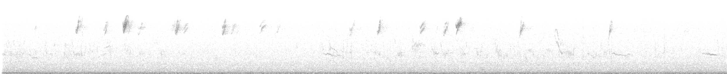 オジロヒメドリ - ML219751241