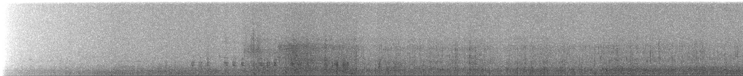Canard noir - ML219820291