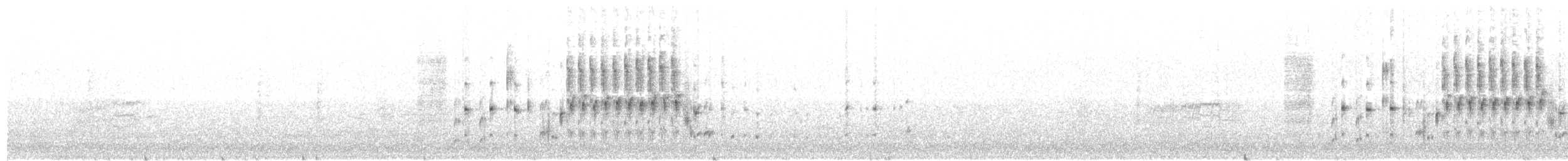 Troglodyte des marais - ML219824421