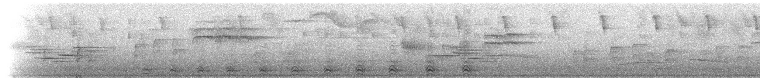 Slaty-tailed Trogon (Massena) - ML219937