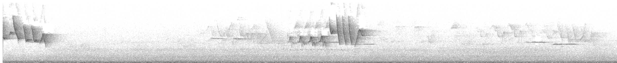 Yellow Warbler (Northern) - ML219968391