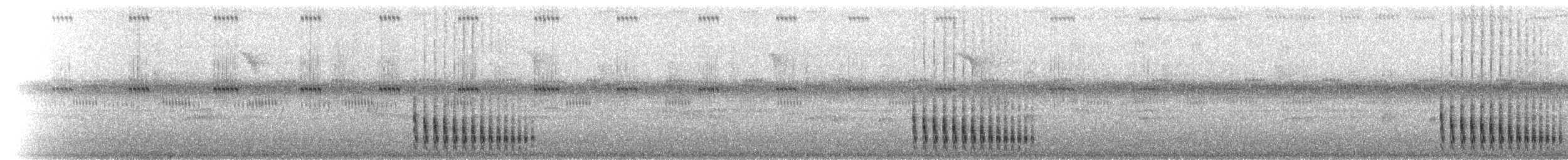 Slaty Spinetail - ML219974