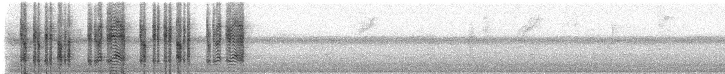 Kaplan Çıtkuşu - ML219976