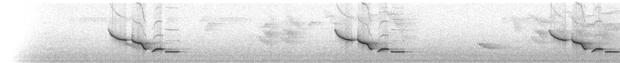 Тріщук біловолий (підвид pittieri/costaricensis) - ML219990